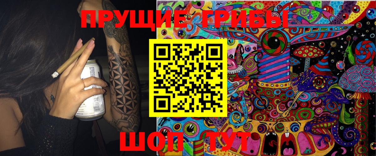 Галлюциногенные грибы Psilocybine cubensis  Вход с VPN  Карпинск  Псилоцибиновые грибы Cubensis 