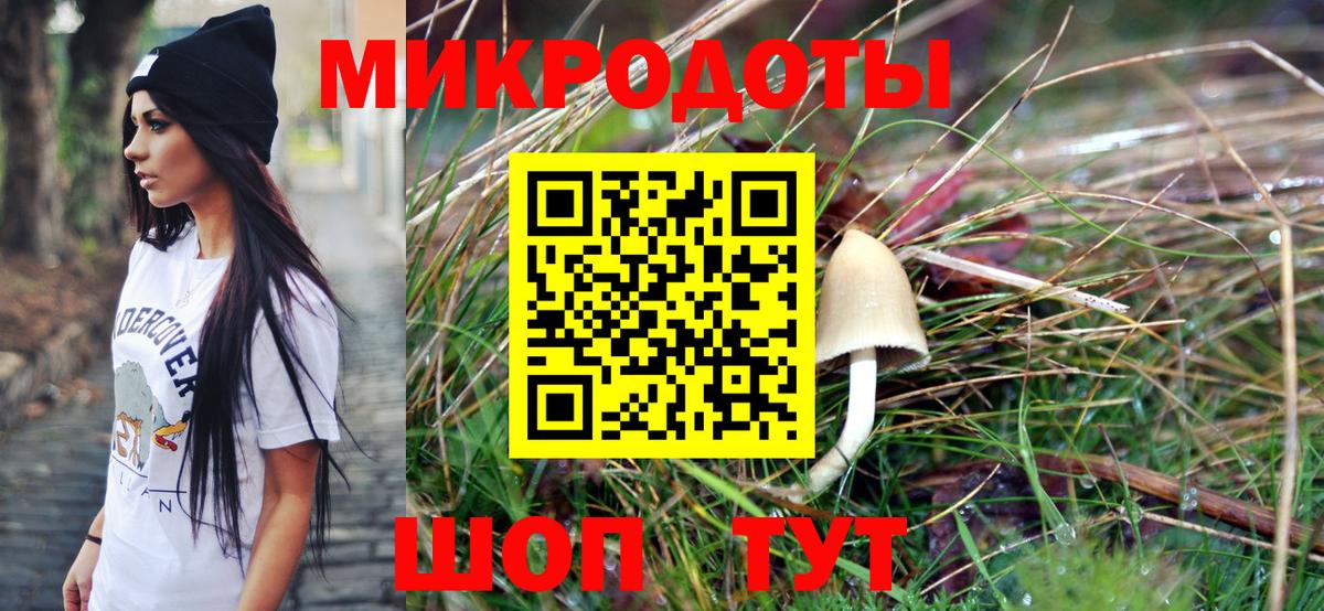 Псилоцибиновые грибы Psilocybe Карпинск